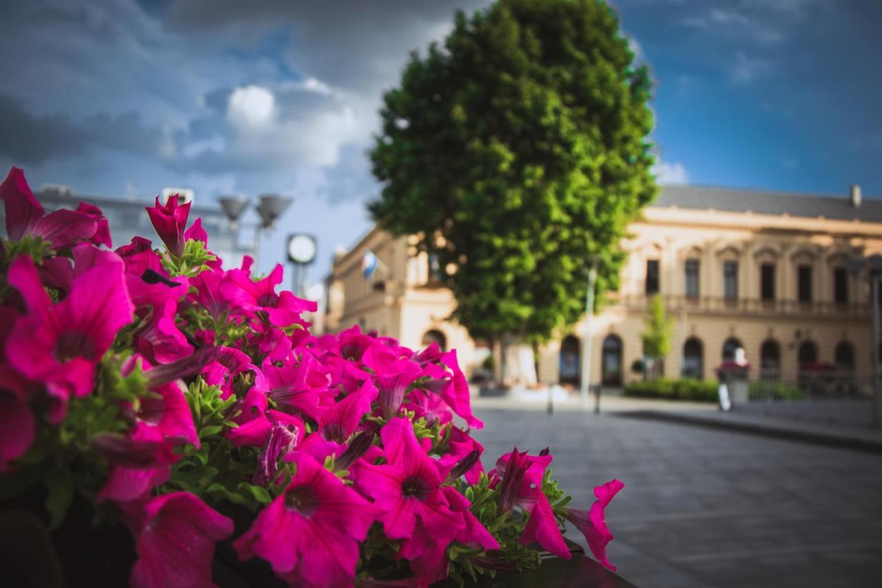 Vila Rosa Vukovar Buitenkant foto